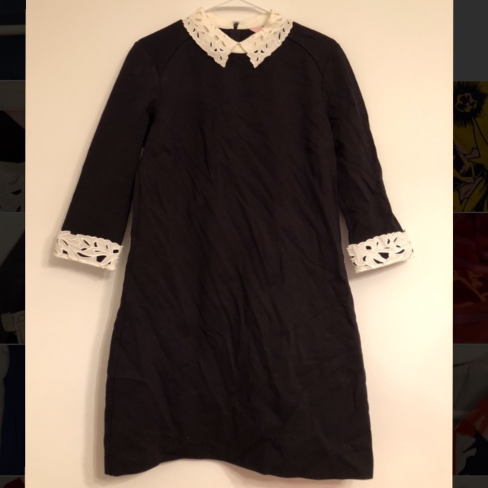 Ted baker collared dress 4 12